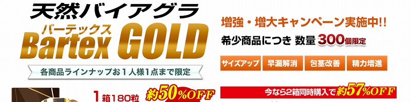 �a���������� �f�n�k�c���T�C�g